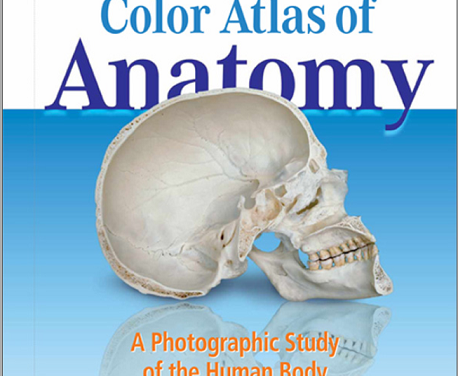 Color Atlas of Anatomy